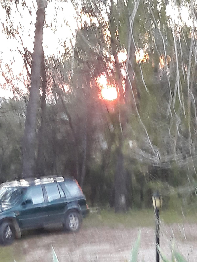 Calçotada 2019 (54)